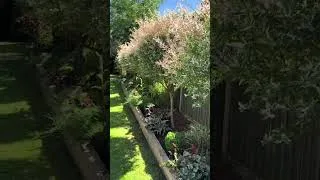 Thumbnail: Backyard Garden Paradise 2026 🏡 Stunning Flower Landscapes You'll Want to Copy