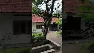 Thumbnail: CERITA RAKYAT : Balon Warna Langit yang Terbang Membawa Harapan #cerita #ceritarakyat