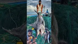Thumbnail: 🌊 Deadly Deep Sea Fishing Adventure | Surviving Killer Storms & Giant Fish Catch! 🎣