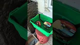 Thumbnail: Canadian Freezer