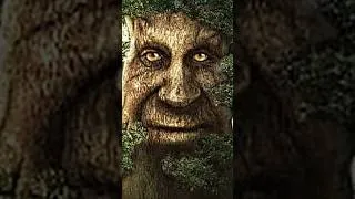 Thumbnail: Where Did the Wise Mystical Tree Meme Come From? #shorts #origin #wisemysticaltree #meme #mobilegame