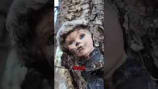 Thumbnail: He made a terrifying discovery while camping in the woods