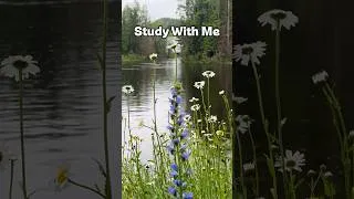 Thumbnail: 🌧️ Rainy Study Vibes in Norway #5010pomodorostudywithme #naturesounds #studywithme