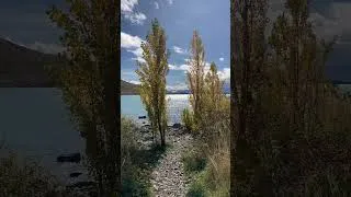 Thumbnail: What does safety mean for you? #aotearoa #newzealand #naturelovers #mindfulness #meditation