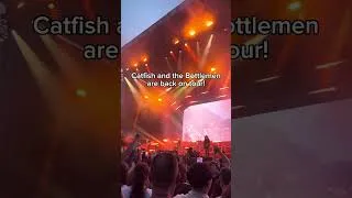 Thumbnail: Catfish And The Bottlemen Tomorrow