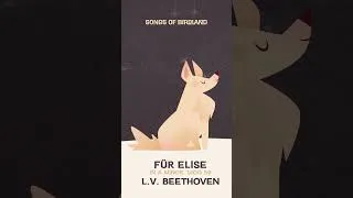 Thumbnail: Für Elise 🌟🌱 L.V. Beethoven 🌱🌟 Songs of Birdland