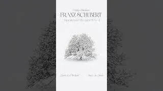 Thumbnail: Franz Schubert ✨  Impromptu in E-flat major D.946 II ✨ Peaceful Romantic Piano Music for Inspiration