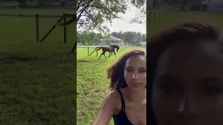 Thumbnail: someone’s got the zoomies :) #horse