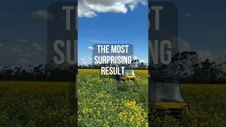 Thumbnail: The Unexpected Benefit Simon Saw in His Cattle