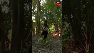 Thumbnail: Walk In The Jungle | Lal Saheber Kuthi 2 Khonji | Watch On AATH on 30 Aug #thriller #banglamovie
