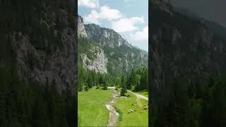 Thumbnail: Listen to this music and you will feel better🌿 Beautiful Relaxing Music, Calming Music #pianomusic
