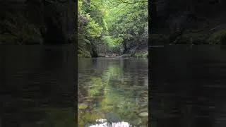 Thumbnail: A Quiet River To Help You Relax