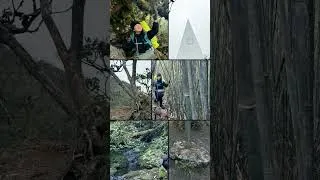 Thumbnail: say goodbye Hana