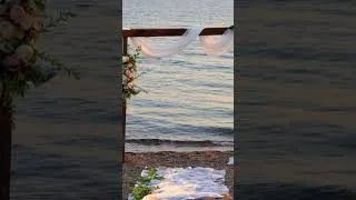 Thumbnail: The Most Iconic Wedding Song Ever – Wagner's Marcha Nupcial 🎶 #weddingsong #classicalmusic #shorts