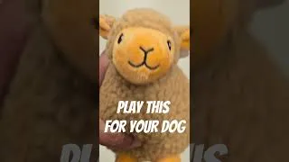 Thumbnail: Squeaky Toy To Make Your Dog Happy #dogsoundsthatmakethemhappy squeak #bestdogtoysforsmalldogs