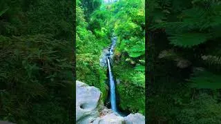 Thumbnail: Waterfall Gentle Stream Sound in forest,Flowing Water,White Noise for Sleep #riversounds #nature