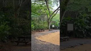 Thumbnail: a #peaceful moment listening to some rain #relaxing and #tranquil