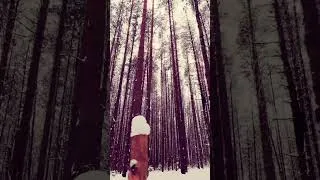 Thumbnail: bambo flute music with tall tree #beautiful #flutemusic #talltrees