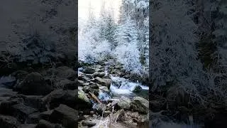 Thumbnail: Soothing watersounds for chill #soothingnature #watersounds #chillmusic
