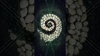 Thumbnail: Contemplation of Symmetrical Constructs within Nature