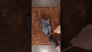Thumbnail: This Chicken Scared Me