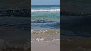 Thumbnail: Two nets pulled out at Port Edward - August, 25, 2026
