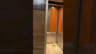 Thumbnail: Nudge Mode On A Schindler 500A Elevator