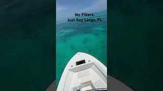 Thumbnail: No #filters Just Key Largo #shorts