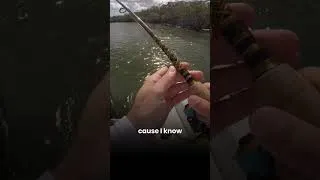 Thumbnail: #FWC finds me catching snapper in the mangroves #fishing