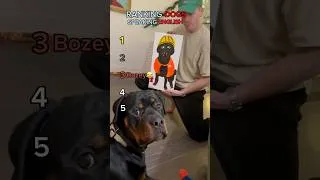 Thumbnail: Ranking Dogs Speaking English😂🤣 Best Funny Dog😂🐶 #shorts