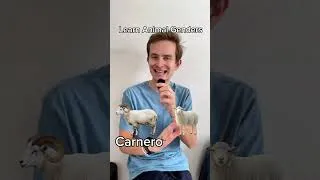 Thumbnail: Think You Know Spanish? Gallina 🐓 ‼️