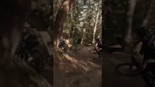 Thumbnail: dropping in all over the place on the #levo4 #mtb #specialized