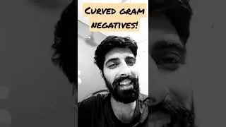 Thumbnail: Curved gram negatives 💯 Campy, Vibrio, Pylori🥱🤯 #speedytitbits #medschool
