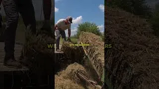 Thumbnail: Square Baling Straw and Grass