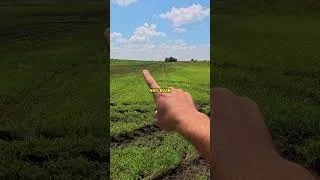 Thumbnail: My Field Flooded and Ruined Hay (10" of Rain!)
