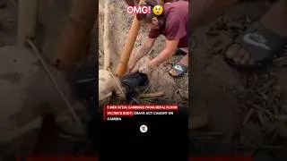 Thumbnail: Disgusting! They steal jewelry off a body in Nepal after the flood! No respect! #omg #smh #shorts