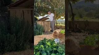 Thumbnail: Sustainable living 👨🏻‍🌾 #shorts