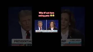 Thumbnail: A lie don’t care who tell it 😂😂 #trump #kamalaharris #debate #presidentialdebate