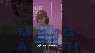 Thumbnail: Making a Gorgeous Synth from an Owl Sound