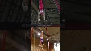 Thumbnail: Artur Dalaloyan JUNIOR versus SENIOR performance #shorts #gymanstics