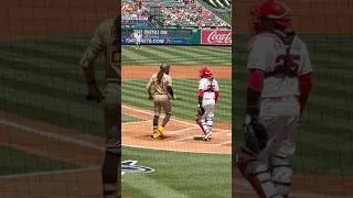 Thumbnail: Fernando Tatis Jr walking up to bat