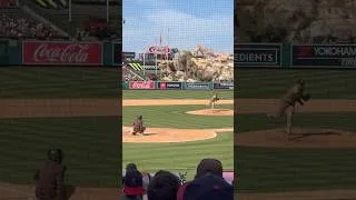 Thumbnail: Mason Miller warming up