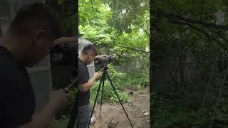 Thumbnail: Behind The Scenes of Filming and Recording Bird Sounds