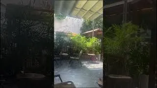 Thumbnail: Coffee with Spring ASRM Coffee Shop, Birds Sounds,..