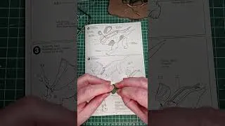 Thumbnail: Infant Chasmosaur Model