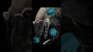 Thumbnail: "Old Rivalries, New Theory" 🌀 | #allosaurus #edit #enemies #thecursedisle #remodel #theory #concept