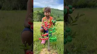Thumbnail: Survival Skills: SMART idea and USEFUL in forest #bushcraft #camping #outdoors #survival #idea