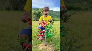 Thumbnail: Survival candy in forest #bushcraft #camping #outdoors #survival #forest
