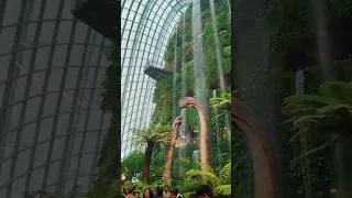 Thumbnail: 🦖 Gardens by the Bay Singapore | Jurassic World /  Cloud Forest Adventure #singapore #shortsfeed