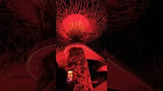 Thumbnail: Gardens by the Bay & Spectacular Light Show Singapore | Garden Rhapsody Night Experience ✨